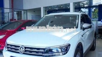 Volkswagen Tiguan Luxury 2019 Trắng