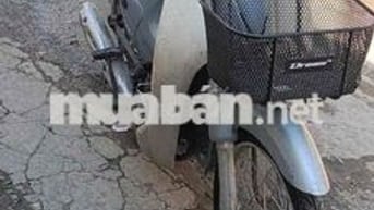 Honda Cup 50cc Xám