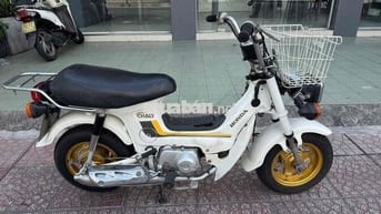 Honda Chaly 81 50cc Trắng 1981