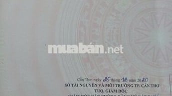 BÁN THU HỒI VỐN THỔ CƯ  5*20=100 PHONG ĐIỀN. 440 TRIỆU. 2 NỀN LIỀN KỀ