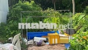 Bán đất hẻm Trường lái (Rạch Cái Nai, Cái Răng)