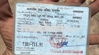Honda Lead 2009 Bạc