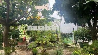 BÁN LÔ ĐẤT LIÊN CHIỂU - ĐƯỜNG 5.5M - Ô TÔ ĐẬU SÁNG ĐÊM 