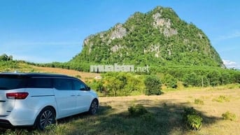 Kia Sedona Trắng 90000 km