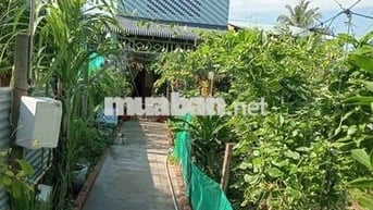 nhà và đất 5x40m đường xóm mía 