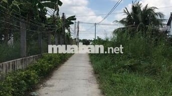 Chính chủ cần bán lô đất thổ cư 100% 259,3m2, Mỹ Bình, Tân Trụ Long An