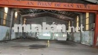 xưởng cho thuê Bình Tân TP HCM giá 70tr