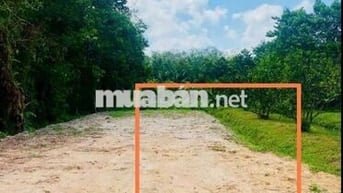 Đất nền định cư An Điền diện tích lớn