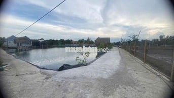 Đất nghỉ dưỡng giá rẻ HXH, làm vườn ao chồi xã bình khánh, cần giờ.