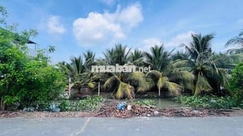hơn 400m2 đất vườn ngay trung tâm p9, gần chợ trường học, sẵn huê lợi