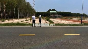 Chủ thua lỗ cần bán gấp lô đất 335tr ngay mặt tiền đường Cao Bá Quát