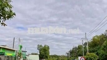Chủ ngộp cần sang gấp 2100m2 có sẵn 300m tc