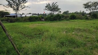 BÁN ĐẤT Ở 2 MT ĐƯỜNG ĐH 48, XÃ BÌNH NINH, HUYỆN TAM BÌNH, VĨNH LONG, 1