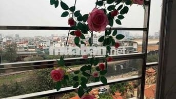 Bán CC Mini Láng, Ngã 4 Sở- Thoáng Đẹp View Sáng 2n2wc Ô tô đỗ