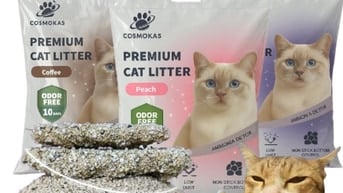 CÁT MÈO COSMOKAS – CÁT ĐÁ KHOÁNG – 265k/ tải 24kg
