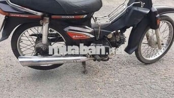 Honda Dream Nâu Cả nam và nữ
