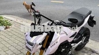 Honda MSX 2020 Trắng đỏ 8000 km Zin