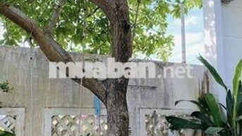 CHO THUÊ NHÀ NGUYÊN CĂN 2 TẦNG ĐẦY ĐỦ TIỆN NGHI TẠI NGŨ HÀNH SƠN