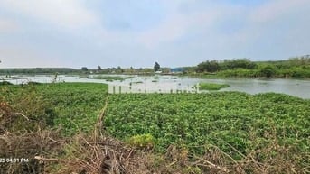 1.6HA - 2 MẶT TIỀN ĐƯỜNG VÀ SÔNG SG !