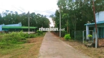 BÁN 1233M2 ĐẤT THỔ CƯ - MẶT TIỀN BÊ TÔNG !