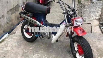 Honda Chaly 81 Số sàn Đỏ, Xanh, Trắng