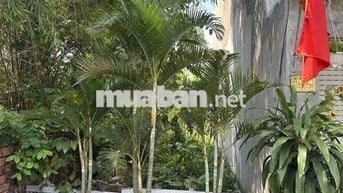 Bán đất 2/43/15 Tô Ngọc Vân, Gò Vấp, 56.8m² nở hậu 4.86m - 3.2 tỷ (TL)