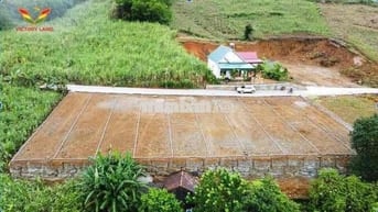 Đất thổ cư Thạch Cẩm Thạch Thành chỉ từ 195tr/lô sát đường mòn HCM