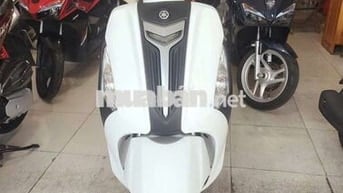 Yamaha Grande Trắng