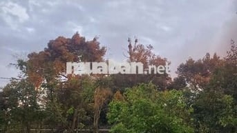 Bán 1000m2 đất vườn khu biệt thự