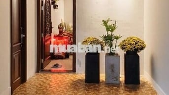CHÍNH CHỦ BÁN CĂN HỘ CHUNG CƯ NHIÊU LỘC C – TÂN PHÚ. KO MÔI GIỚI