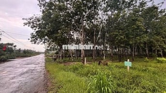 ĐẤT MẶT TIỀN DH506 – XÃ PHƯỚC THÀNH, TP.HCM, ĐÓN SÓNG VSIP 4.