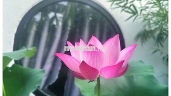 Bán Nhà đường Bình Kỳ - Ngũ Hành Sơn - Cách Nam Hoà Xuân 1km