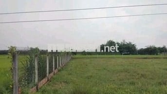 Mình chính chủ bán nền đất full thổ cư Bến Cầu