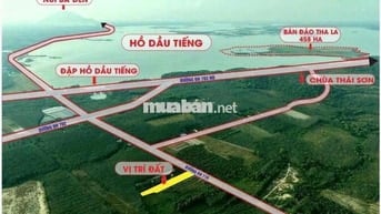 Đất mặt tiền đường nhựa diện tích rộng giá rẻ tại TPHCM