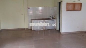 Cho thuê căn hộ mini Đặng Xuân Bảng, Định Công, Hoàng Mai, HN, DT 50m2