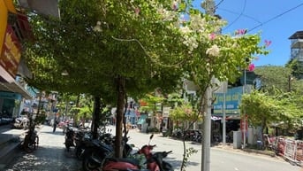 BÁN TRỌN BỘ 02 SỔ ĐỎ RIÊNG NẰM CÙNG 1 SỐ NHÀ TẠI TRUNG TÂM HOÀN KIẾM 