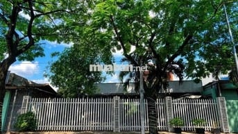 Cho Thuê Mặt Bằng Phú Thọ, Thủ Dầu Một  - Diện tích  : 14x45 (660m2) c