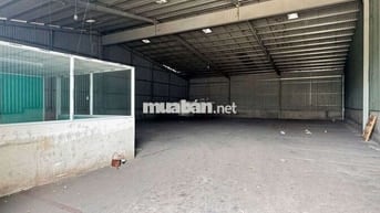 Xưởng sản xuất gỗ 2000m giá 50tr đầy đủ máy móc