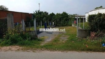 Ngộp lô đất đẹp Gia Lộc 260m2 giá 530tr còn thương lượng