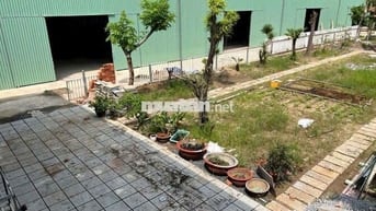 Xưởng Phú Chánh 600m giá 20 triệu xưởng mới 100%