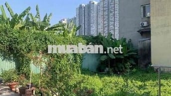 Quận 7 – 4 Tỷ 3 - Lô Đất 56m² - Ngang 4,6m- Đường 4m - Ngay UBND Phú T