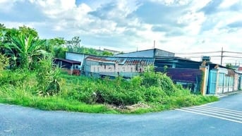 Bán đất Tân Thông Hội Củ Chi 295m2 chính chủ sổ hồng riêng giá rẻ