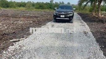 Đất vườn 1000m2 giá chỉ 440tr, Tân Thành, Thủ Thừa