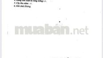 Cần bán nhanh lô đất 2 mặt tiền ngay công viên Tân Thắng