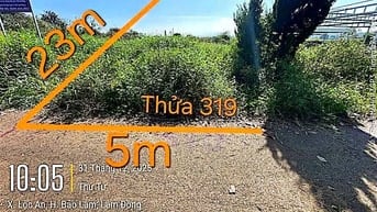 Công ty Đấu giá hợp danh Lam Sơn Sài Gòn thông báo đấu giá tài sản