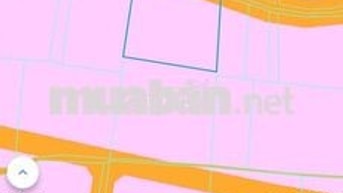 QUỸ ĐẤT HIẾM KDC VĨNH LỘC A – 2.290M² – NGANG 50M – CHỈ 10 TRIỆU/M² 🌟