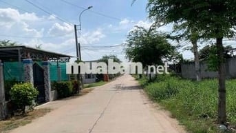 Đường xe hơi cách mặt tiền Trần Văn Nghĩa 50m