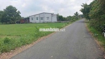 10x52 đường nhựa, gần KCN, có thổ cư. 900tr. Rẻ