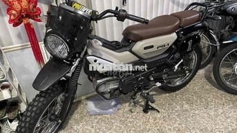 Yamaha PG-1 Nâu Bạc Cả nam và nữ