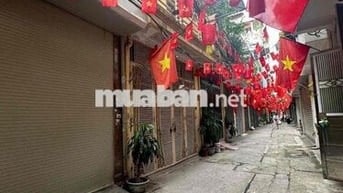 Hoàng Mai-Phân lô oto-Thoáng trước sau-Không quy hoạch-50m*4 tầng